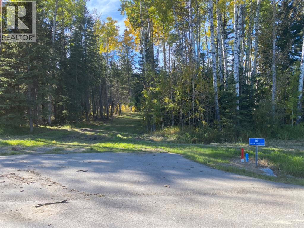 Listing photo – 161 Meadow Ponds Drive, Rural Clearwater County