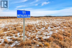 11 Metaldog Drive | 6.40 Acres