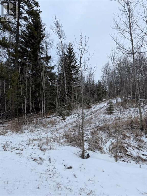 514 CLEARWATER ESTATES Crescent, Rural Clearwater County