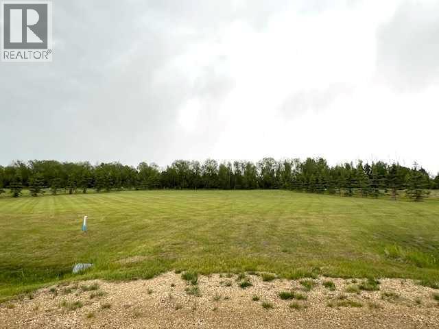 Listing photo – 5201 Westview Drive, Rimbey