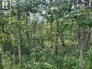 Listing photo – 328, 22113 TWP RD 440, Rural Camrose County