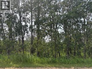 Listing photo – 328, 22113 TWP RD 440, Rural Camrose County