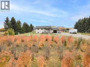 Listing photo – 37342 Waskasoo Avenue, Rural Red Deer County